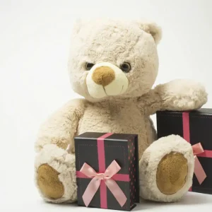 carte-cadeau-biplace